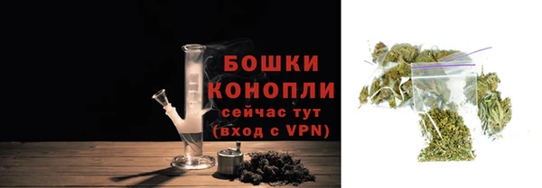 PSILOCYBIN Горнозаводск