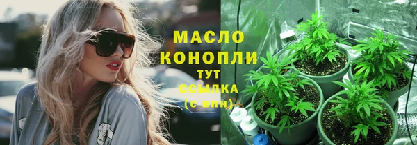 молекула духа Горняк